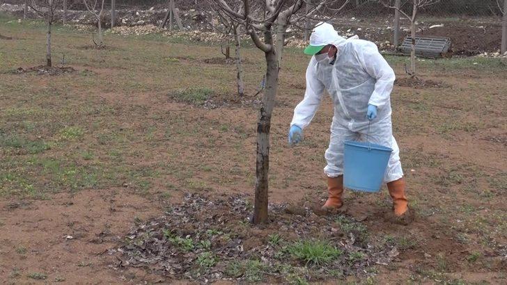 Elazığ’da yaşlıların "bahçe ve arılarının" bakımı yapıldı G5