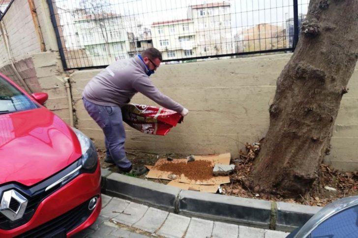 Süleymanpaşa Belediyesi sokak hayvanlarına sahip çıkıyor G2