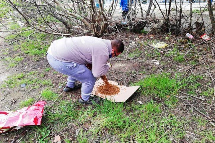 Süleymanpaşa Belediyesi sokak hayvanlarına sahip çıkıyor G4