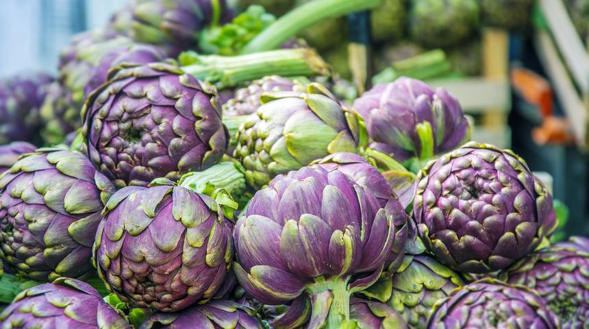 Alaçatı Ot Festivali bu yıl evden yapılacak