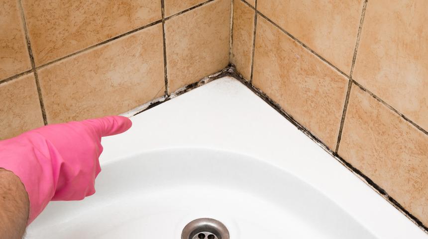 Hayalinizdeki temiz bir banyo &ccedil;ok uzakta değil! Bulaşık deterejanını bu mucizeyle karıştırın