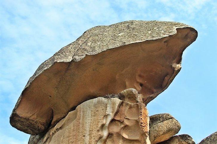 Aydın’ın ikinci karaleylek çiftçi Latmos’a yuva yaptı G3