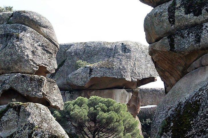 Aydın’ın ikinci karaleylek çiftçi Latmos’a yuva yaptı G4