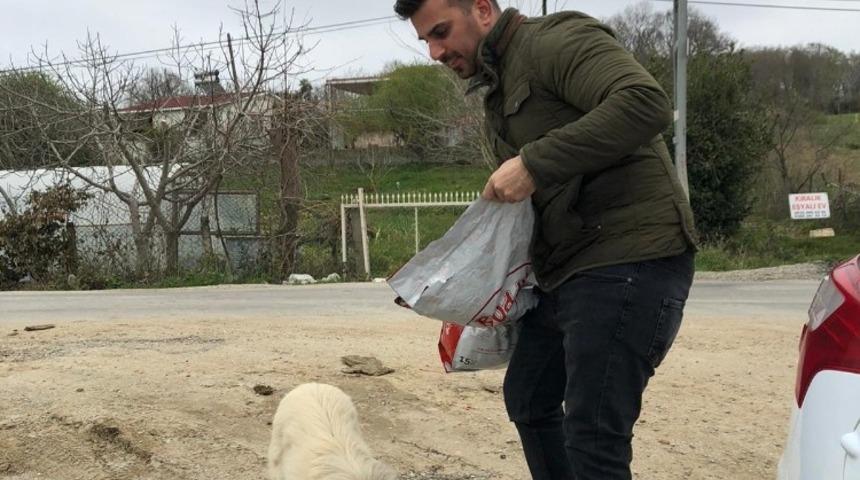 Sinop&rsquo;ta sokak hayvanları a&ccedil; kalmıyor