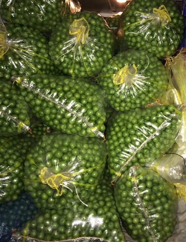 Mut’ta örtü altı eriğin kilosu 60 liradan alıcı buluyor G4