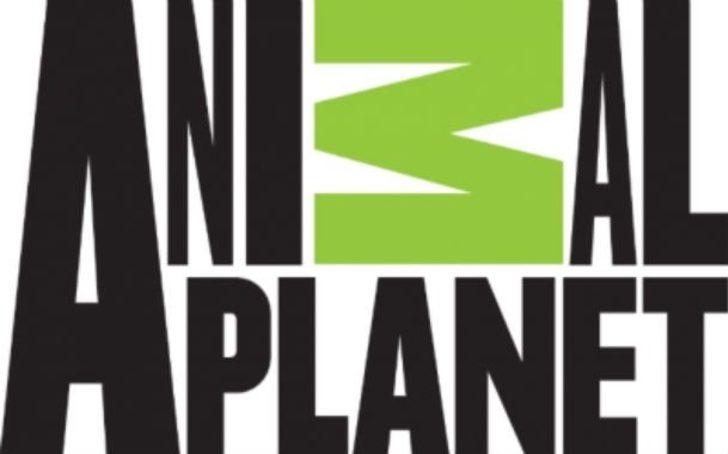 Yarasalar hakkında daha önce hiç duymadığınız 24 bilgi G3