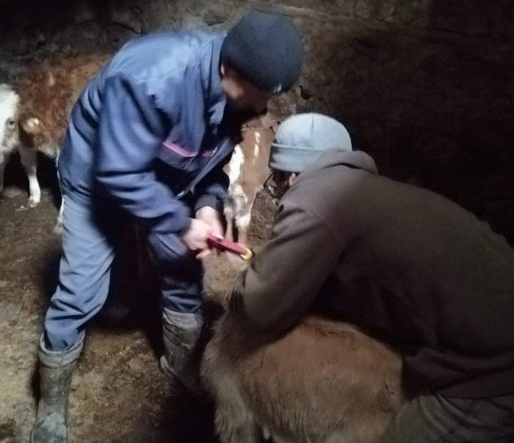 Karadayı: ‘Evde kal fiziksel mesafeyi koru’ G1