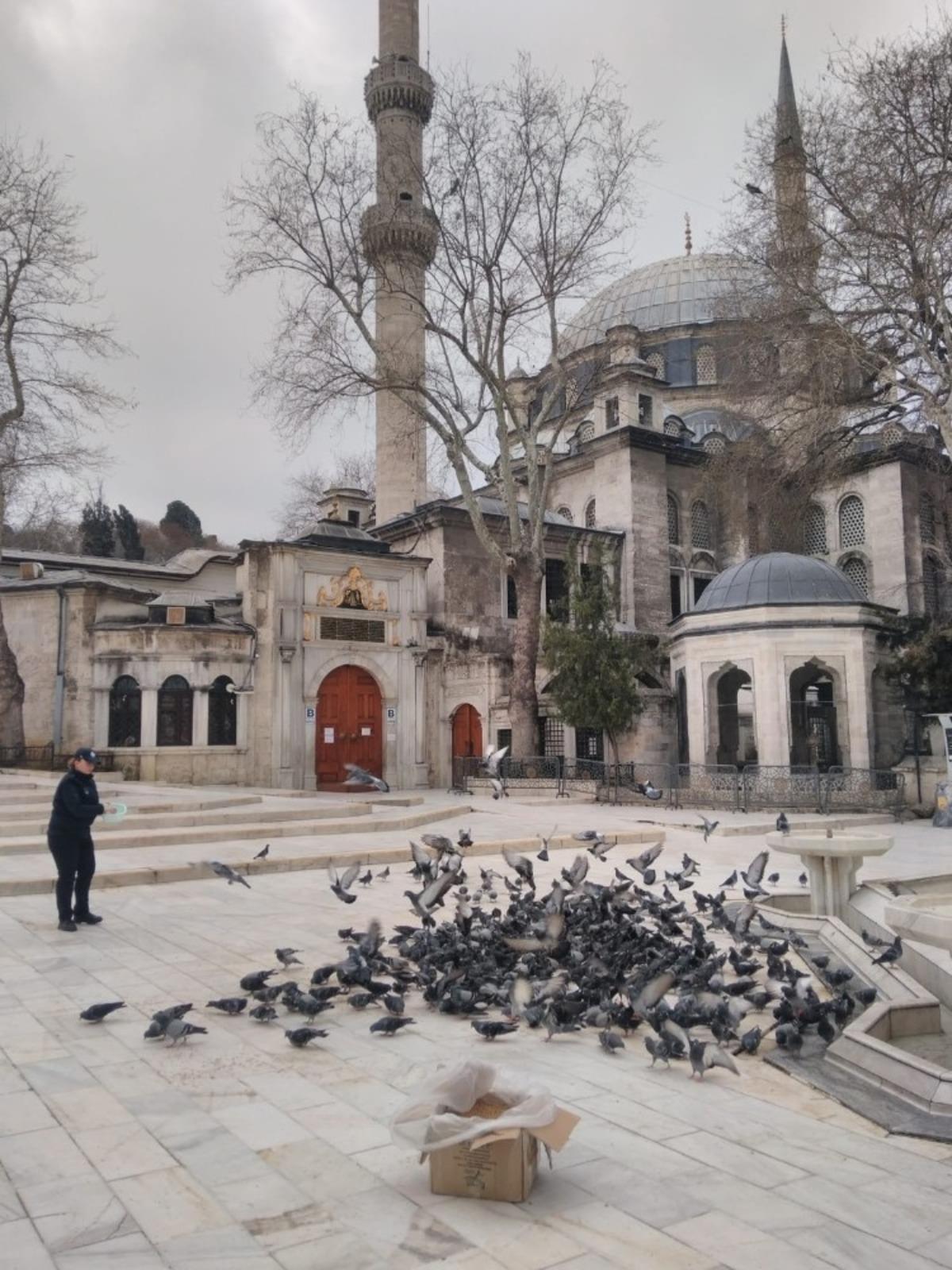 Antalyalı hayırsever Ey&uuml;psultan&rsquo;ın g&uuml;vercinlerini unutmadı