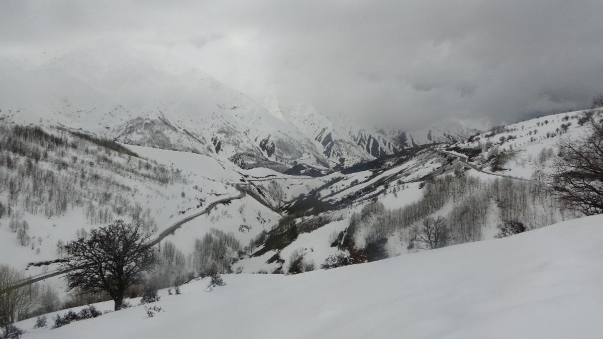Muş&rsquo;ta y&uuml;ksek kesimler beyaza b&uuml;r&uuml;nd&uuml;
