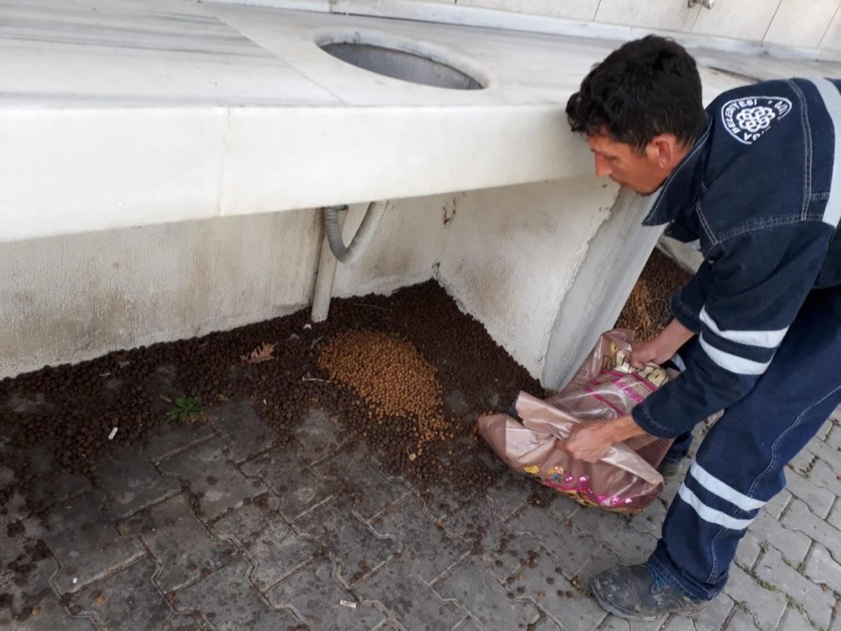 Biga&rsquo;da sokak hayvanlarına yardım