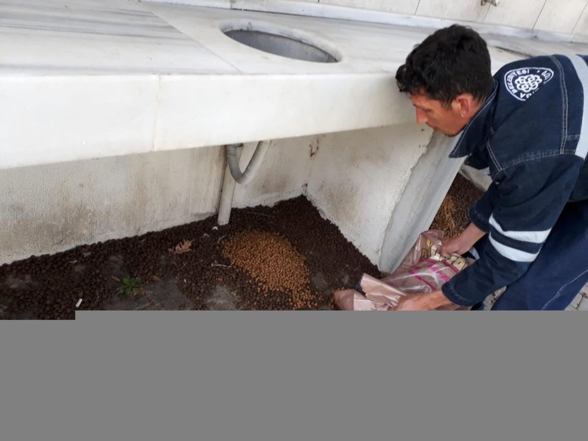 Biga&rsquo;da sokak hayvanlarına yardım