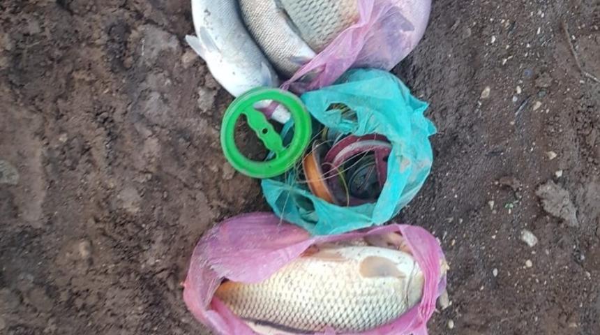 Samsat’ta balık avlayanlara göz açtırılmıyor