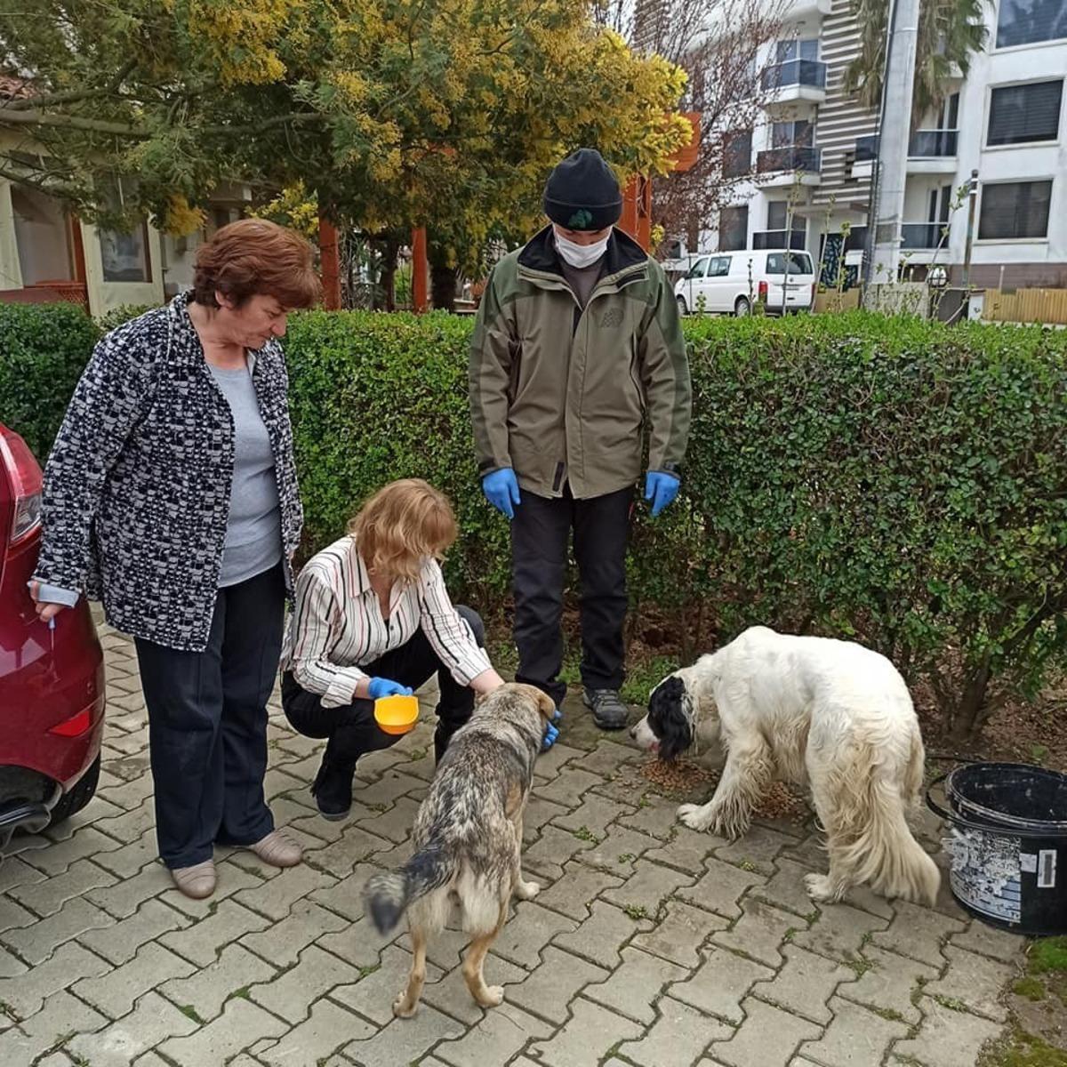 Sokak hayvanları i&ccedil;in mama dağıtımı yapıldı