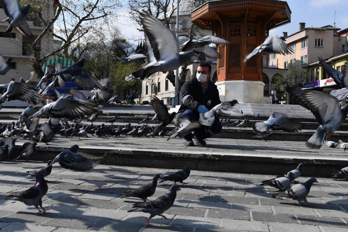 Osmangazi&rsquo;de a&ccedil; kalan g&uuml;vercinler beslendi