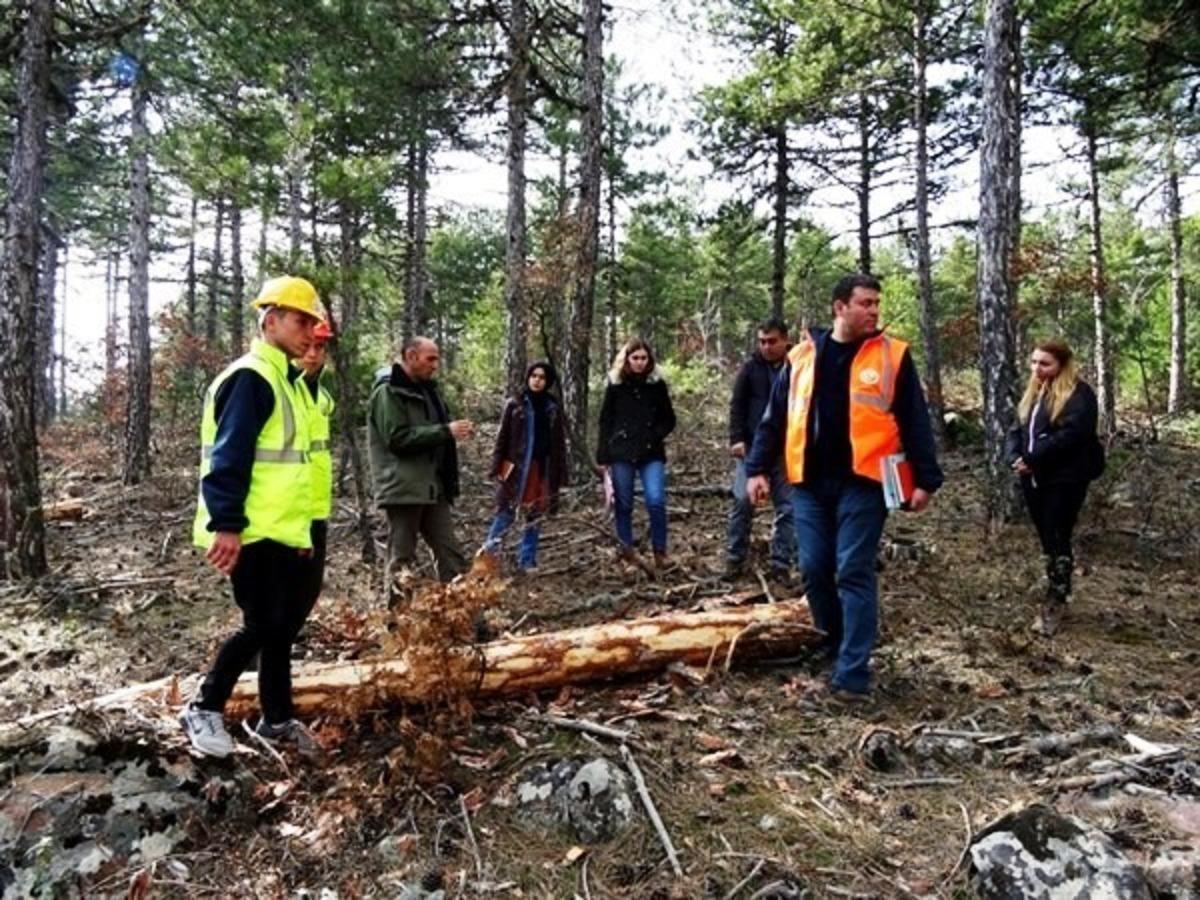 B&ouml;lge M&uuml;d&uuml;r&uuml; Keskin, &uuml;retim sahaları ve depolarda incelemelerde bulundu