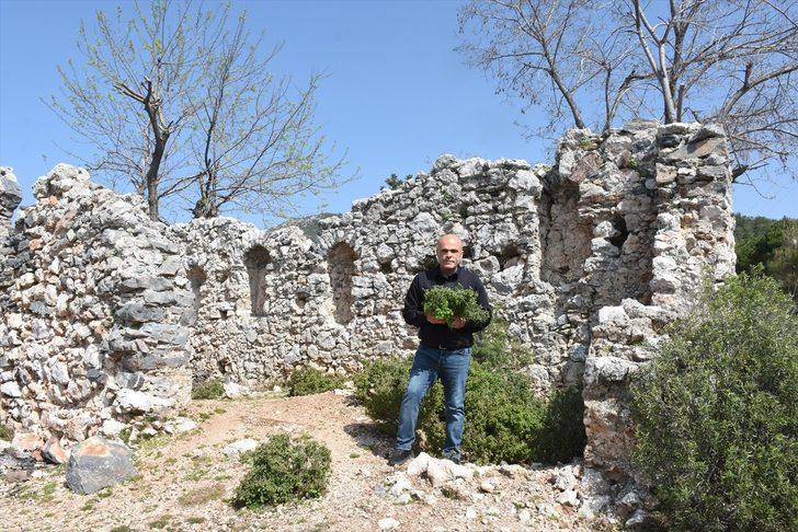 Türkiye'nin zengin florasından 250 çeşit sabun üretiyor G4