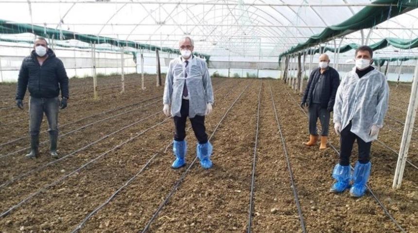 Tarım ve Orman İl M&uuml;d&uuml;r&uuml; &uuml;reticileri tarlalara davet etti