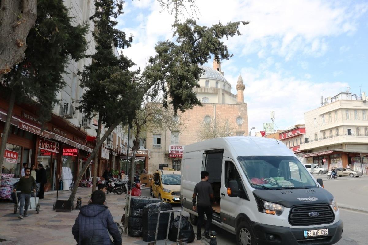 Eğilen ağa&ccedil; tehlike sa&ccedil;ıyor