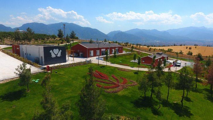 Denizli’de 2 bin 500 sokak hayvanını sahiplendirdi G1