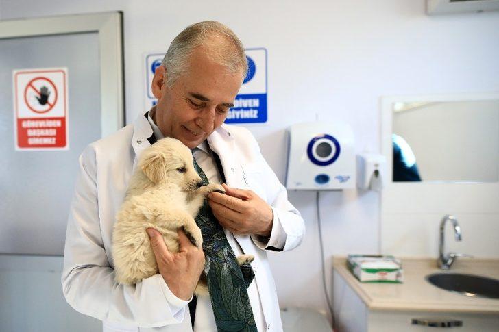 Denizli’de 2 bin 500 sokak hayvanını sahiplendirdi G3