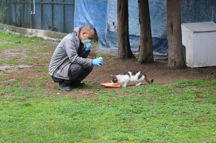Kağıthane’de sokak hayvanları unutulmadı G2