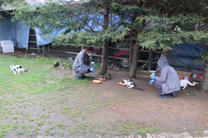 Kağıthane’de sokak hayvanları unutulmadı G4