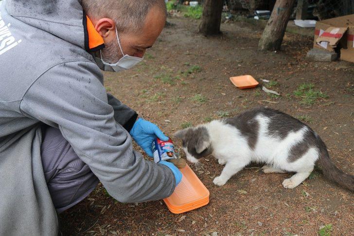 Kağıthane’de sokak hayvanları unutulmadı G5