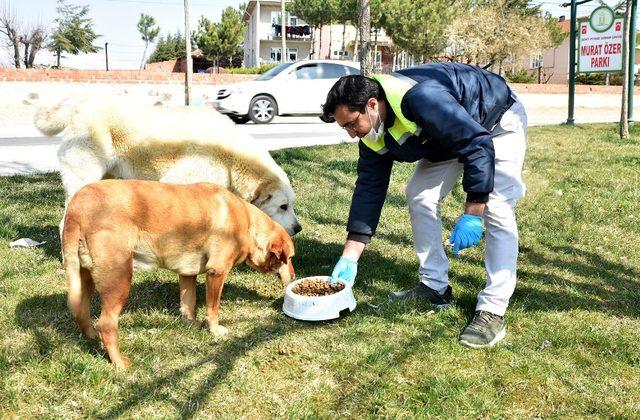 Sokaktaki canlar unutulmuyor