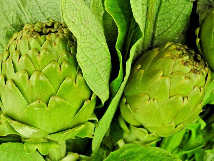 Çeşme’de sakız enginarı bereketi G2