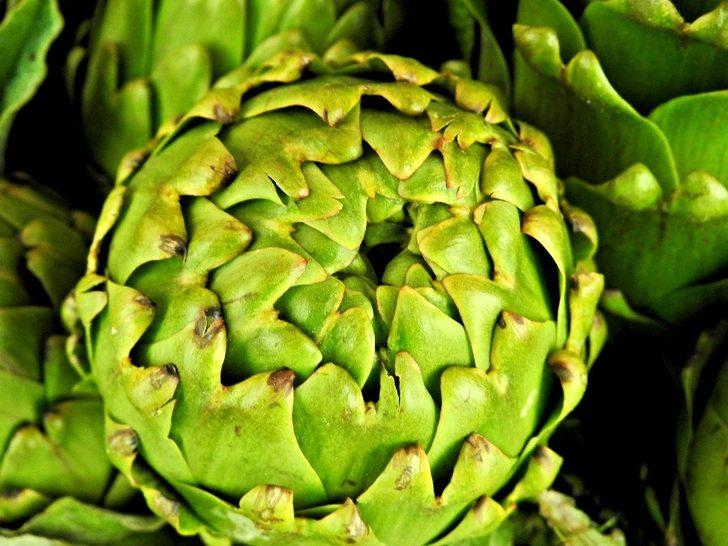 Çeşme’de sakız enginarı bereketi G3