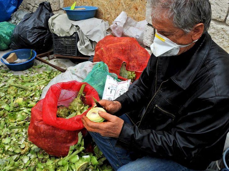 Çeşme’de sakız enginarı bereketi G4