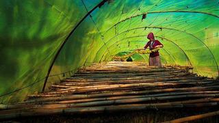 National Geographic Türkiye 10. kez yılın fotoğrafını arıyor