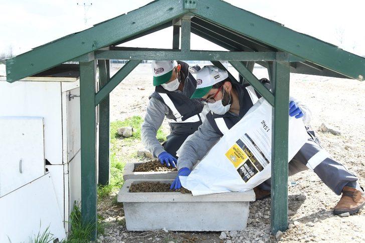 Konya’da sokak hayvanlarını beslemek için ek tedbir alındı G2