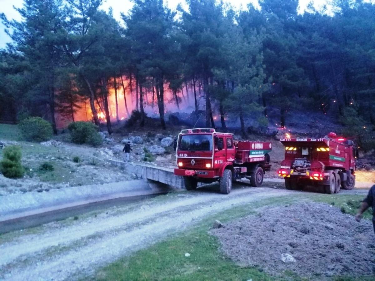 Seydikemer&rsquo;de orman yangını