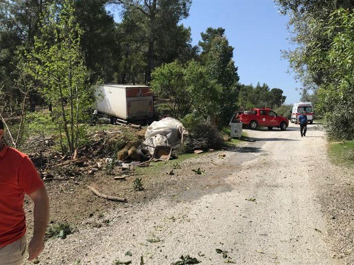 Freni boşalan kamyon ormana daldı G1