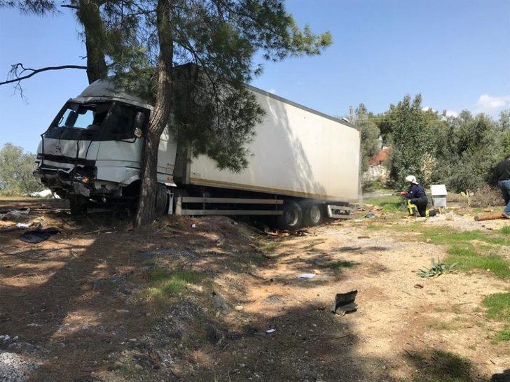 Freni boşalan kamyon ormana daldı G2