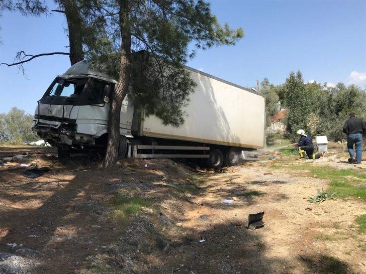 Freni boşalan kamyon ormana daldı G4