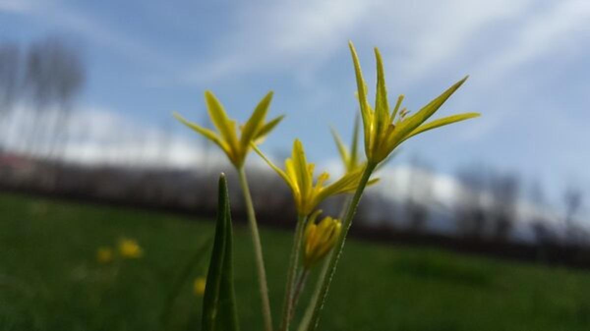 O kentte renk c&uuml;mb&uuml;ş&uuml;! Baharı b&ouml;yle karşıladılar
