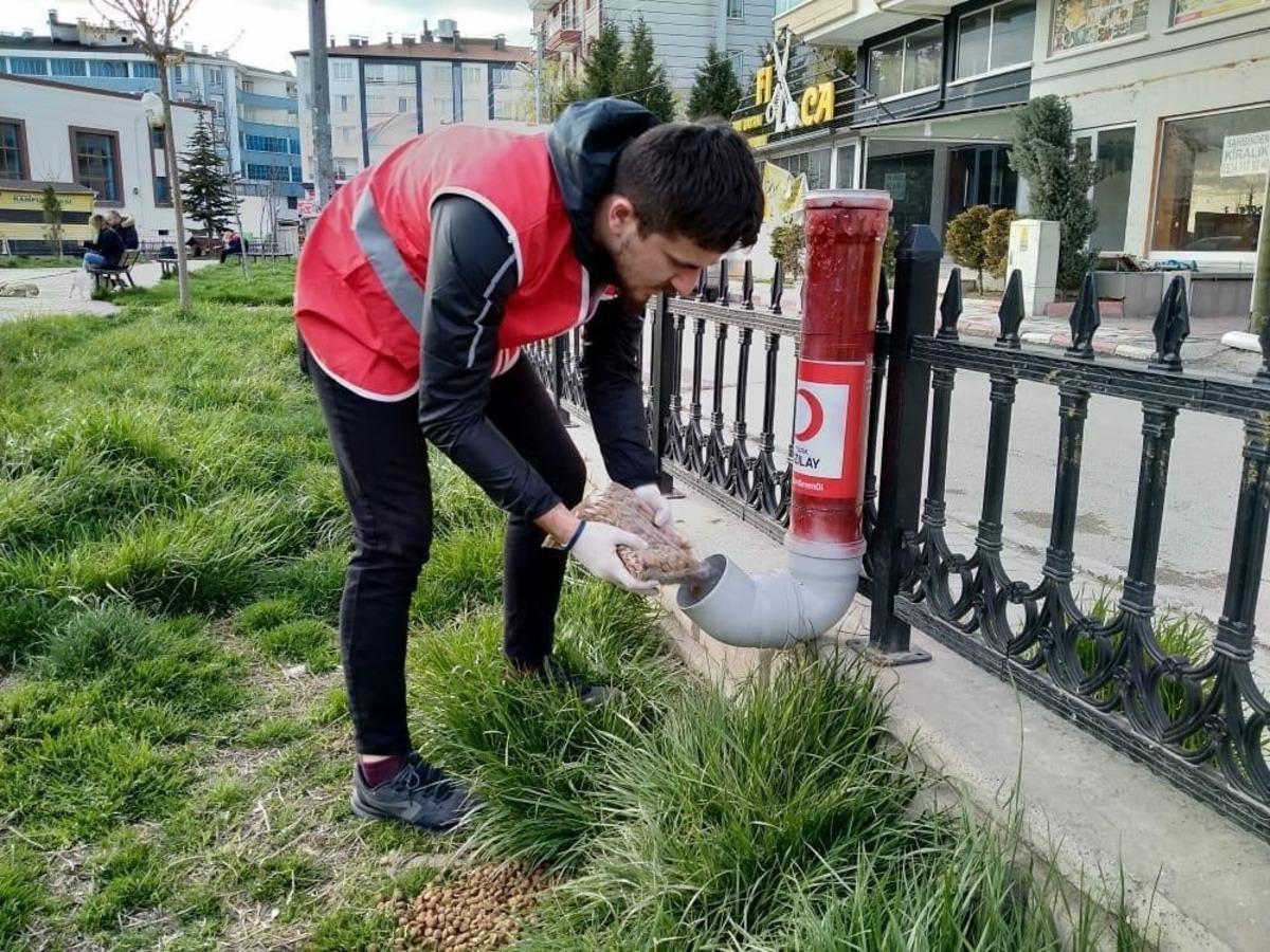 Kızılayın gen&ccedil; g&ouml;n&uuml;lleri a&ccedil; kalan sokak hayvanlarına sahip &ccedil;ıktı