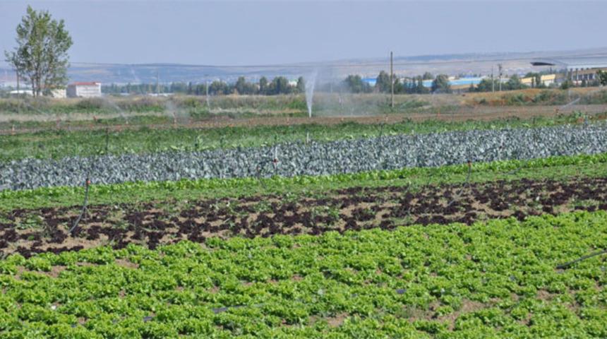 Tarımda Covid-19 tedbirleri alınmaya başlandı