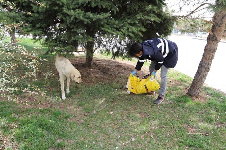 Erzincan’da sokak hayvanları unutulmadı G3