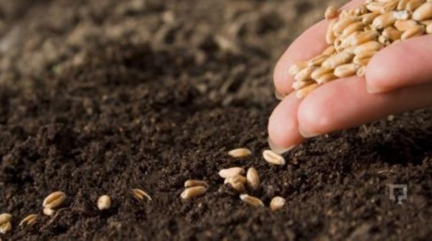 Erzincan&rsquo;da tohumun y&uuml;zde 75&rsquo;i &uuml;reticiye hibe olarak verilecek