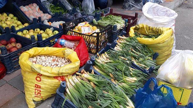 Doğal antibiyotik olan çiriş otu pazardaki yerini aldı