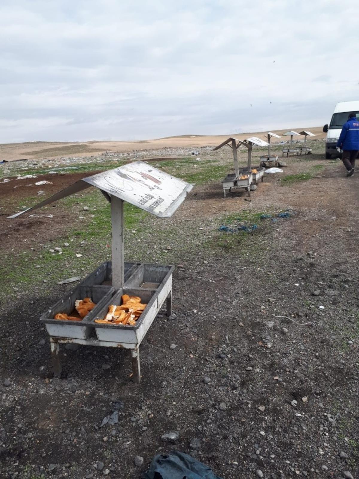 Erciş Belediyesinden sokak hayvanlarına yem desteği