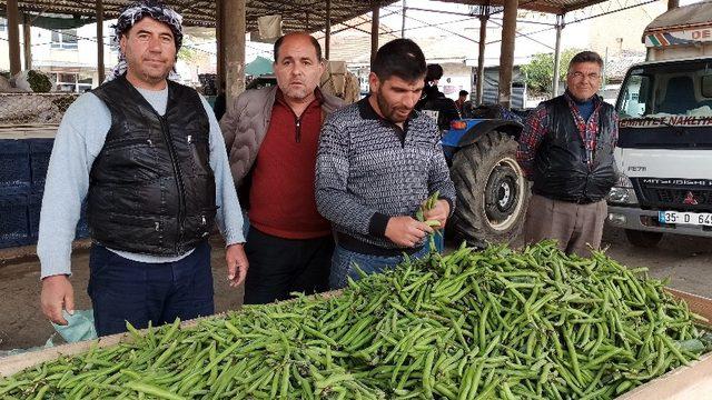 Koronavirüs baklayı da vurdu