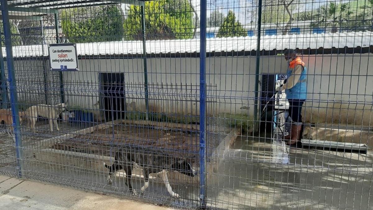 Kuşadası&rsquo;nda hayvan bakım ve rehabilitasyon merkezi dezenfekte edildi