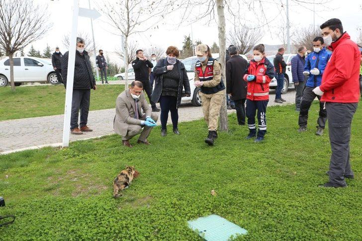 Elazığ’da sokak hayvanları unutulmadı G2