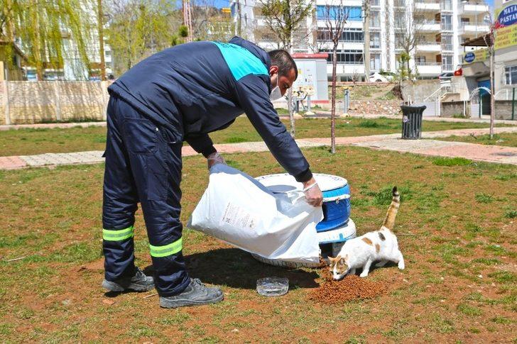 Elazığ’da sokak hayvanları unutulmadı G3
