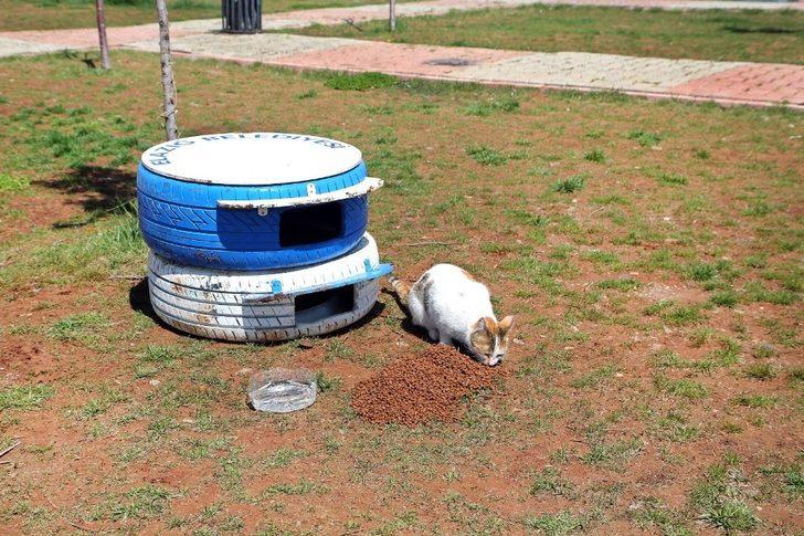 Elazığ’da sokak hayvanları unutulmadı G4