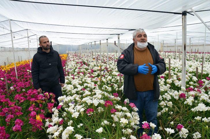 Çiçek üreticilerine korona darbesi G3